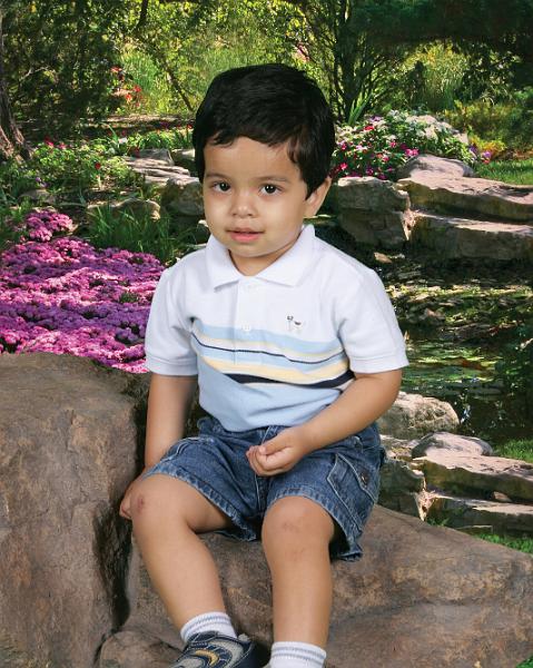 000295196 I-10692 0361 0018.jpg - Here are some professional photographs of Rohan. These were taken early April 2009.